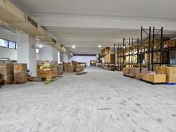 Woodlands Spectrum (D25), Factory #521887951